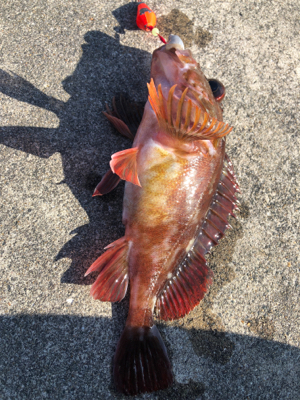 遠征したけど渋い