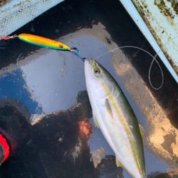 明石沖ジギング