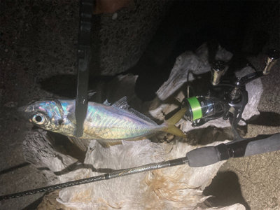 フロートアジング絶好調