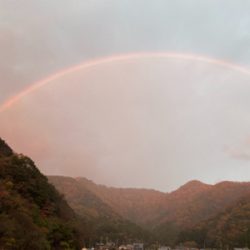 カワハギに狙いを定めて