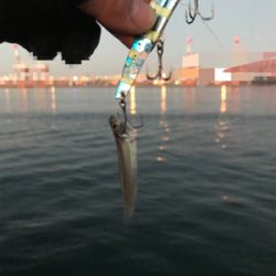 諦めていたけど