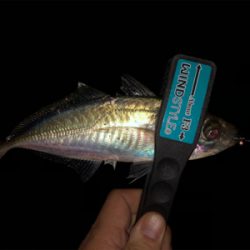 そろそろ厳しくなってきました