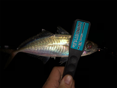 そろそろ厳しくなってきました