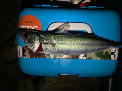 鳴門でフロートアジング