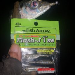 アジング練習 233