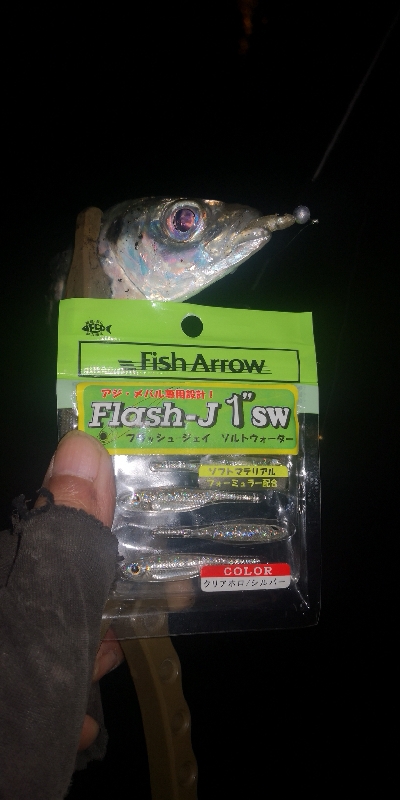 アジング練習 233