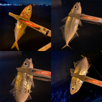 激流ポイントを攻略