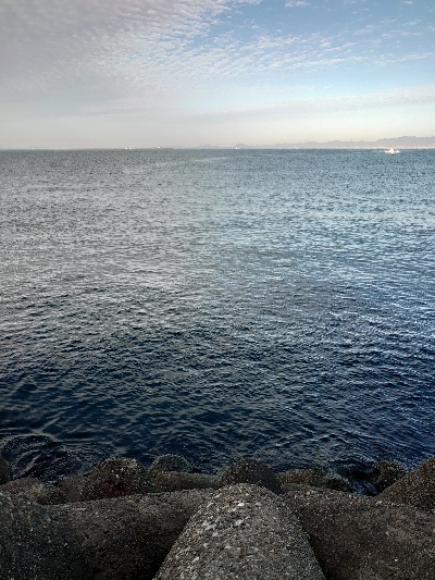 朝イチは寒いが