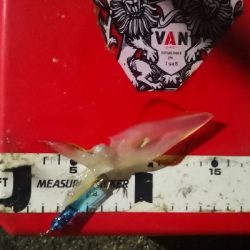 アジング練習 234