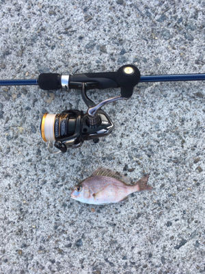 夕まずめの全集中❗️