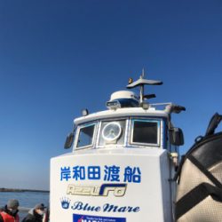 アジに、イワシに、サヨリ！堤防からのライトな釣りを満喫