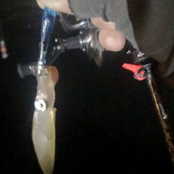 アジング練習 235