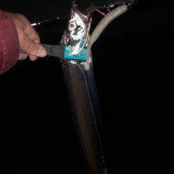 ドラゴンには出会えませんでしたが・・・