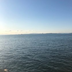 良型アジリベンジ