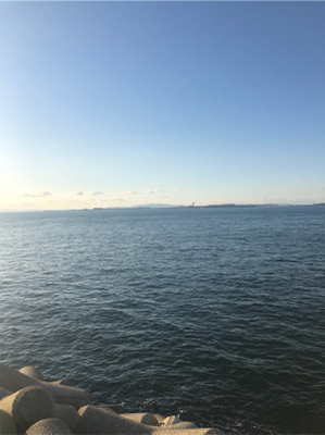 良型アジリベンジ