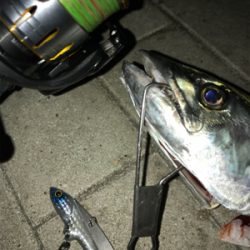 ☆2連続ラインブレイクの末に