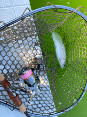 管釣り　大阪府