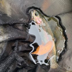 久しぶりのエリア