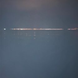 釣果情報に誘われて