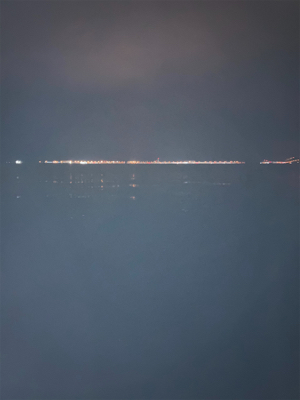 釣果情報に誘われて