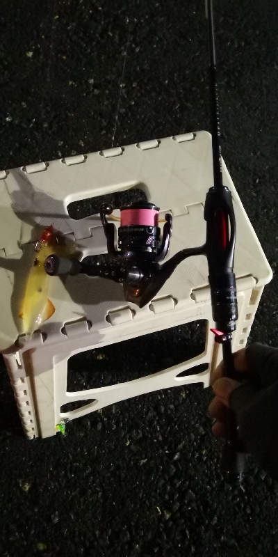 アジング練習 237