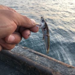 2日間唯一の釣果!!