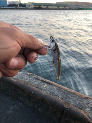 2日間唯一の釣果!!