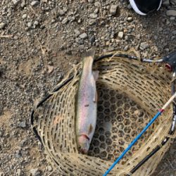 フィッシュオン王禅寺にて…