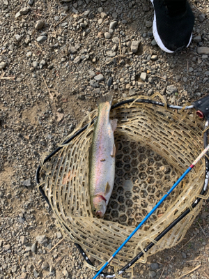 フィッシュオン王禅寺にて…