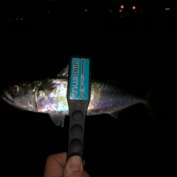 師匠と同じことをしているつもりが・・・