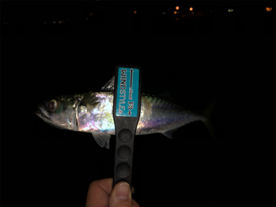 師匠と同じことをしているつもりが・・・