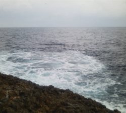 ショアキャスティング