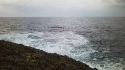 ショアキャスティング