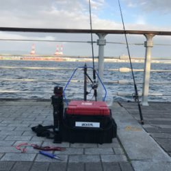 今年最後の投稿。