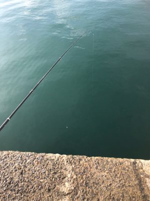 アジはいないが、イワシが乱舞！しかし、イワシとの知恵比べ。