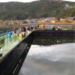 余呉湖　ワカサギ