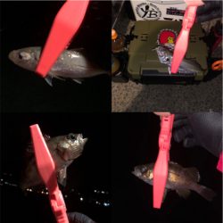 寒さに負けるな