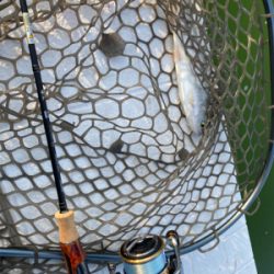 服部緑地　満員です。