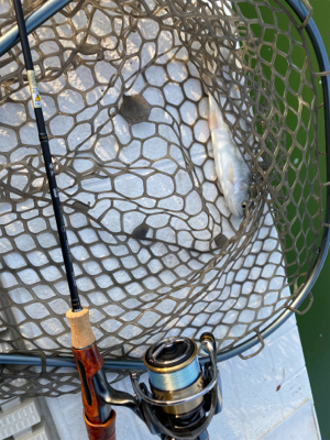 服部緑地　満員です。