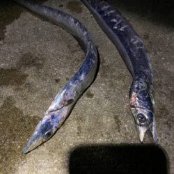 爆風の中、、、