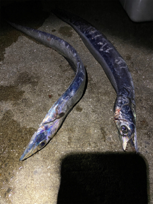 爆風の中、、、