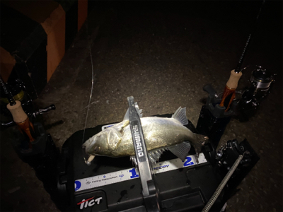 ライトゲーム チーバス