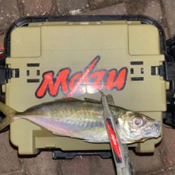 良型狙いなんとかなる