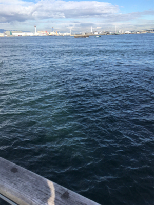 アジ25センチ。。