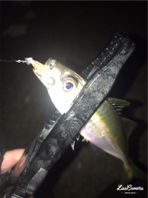 シゴオワアジング