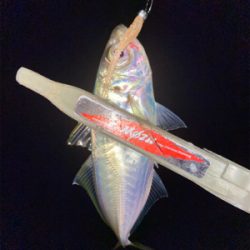 型狙いのはずが