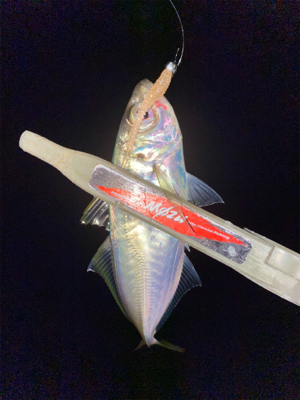 型狙いのはずが