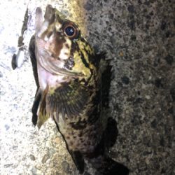 今年の釣り納めに友達と