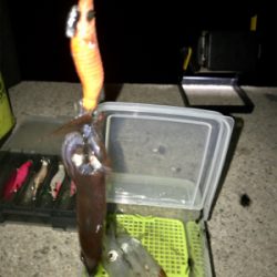 何時もと違う場所でもヒイカGET (^^)/