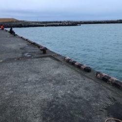 夕マズメのカマス